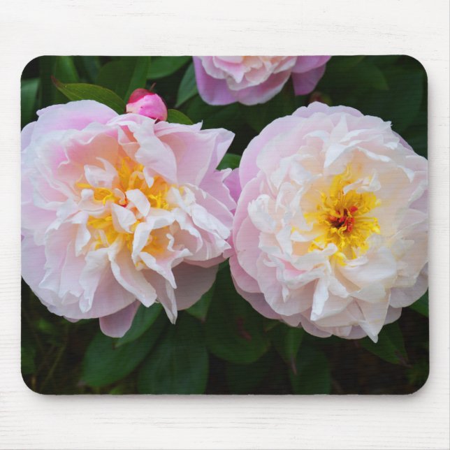 Peony flowers mouse mat (Front)