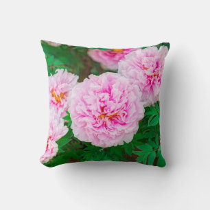 peony in Japanese garden Cushion