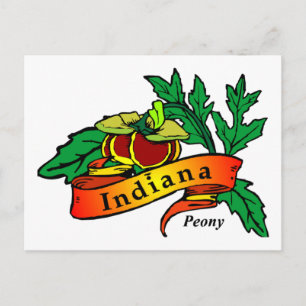 Peony - Indiana State Flower Postcard