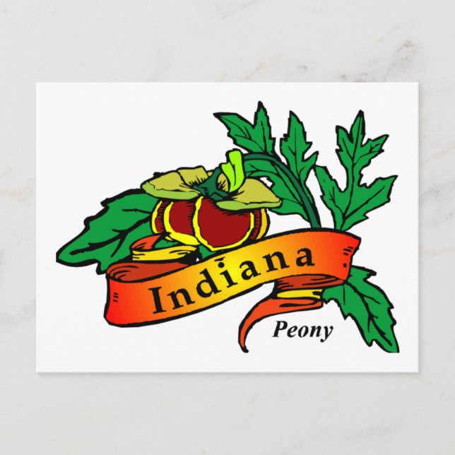 Peony - Indiana State Flower Postcard (Front)