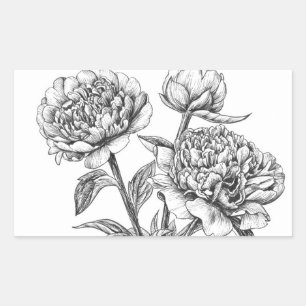 Peony ink drawing rectangular sticker