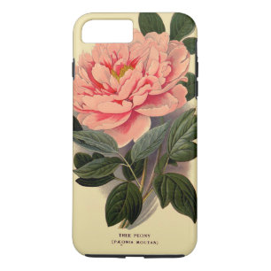 Peony iPhone 7 Plus, Tough iPhone 8 Plus/7 Plus Case
