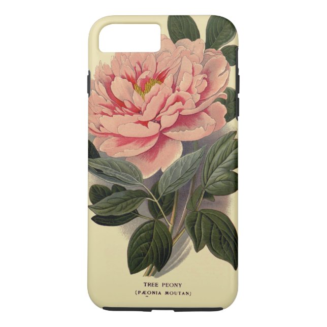 Peony iPhone 7 Plus, Tough Case-Mate iPhone Case (Back)