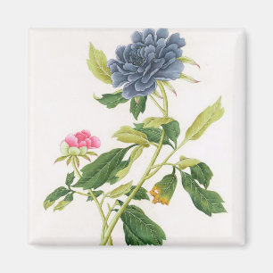 Peony Magnet