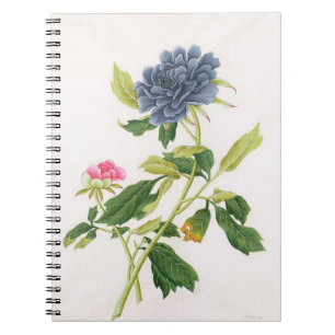 Peony Notebook