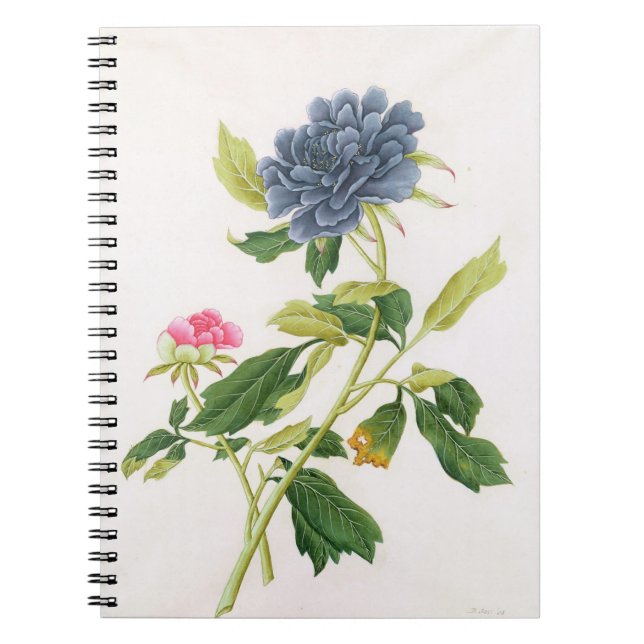 Peony Notebook (Front)