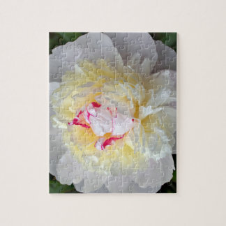 Peony Passion Jigsaw Puzzle
