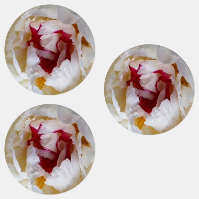 Peony petals (Group)