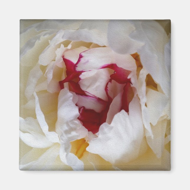 Peony petals magnet (Front)