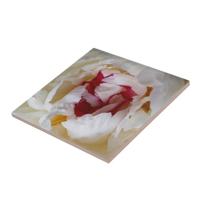 Peony petals tile (Side)