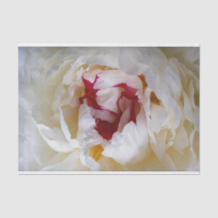 Peony petals tissue paper