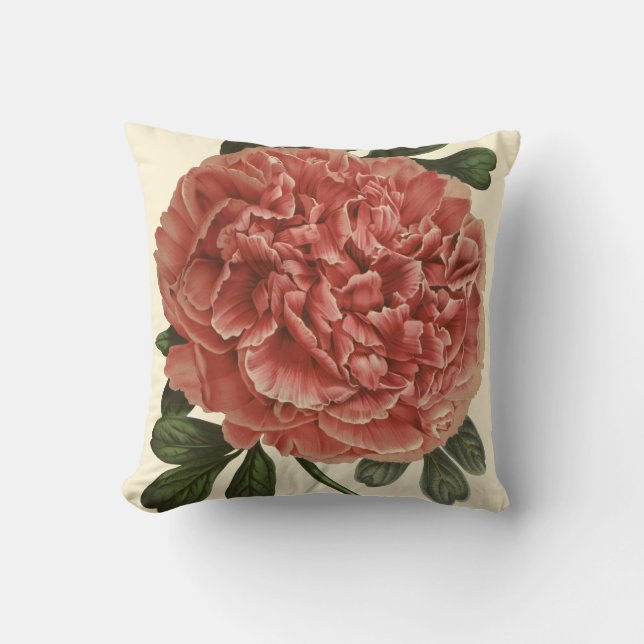 Peony Pillow Anitque Bontanical Illustration (Front)