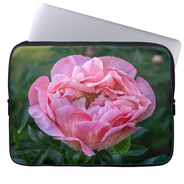Peony, Pink Flower Photography Laptop Sleeve (Front)