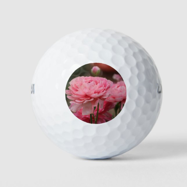 Peony Pink Ranunculus Closeup Golf Balls (Front)