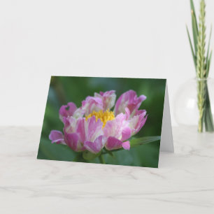 Peony "Pink Spritzer" Card