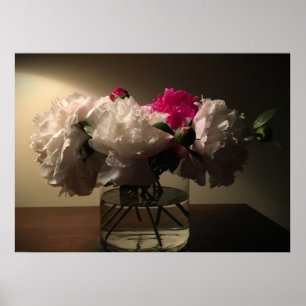Peony, Poster
