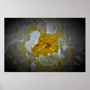 Peony, Poster