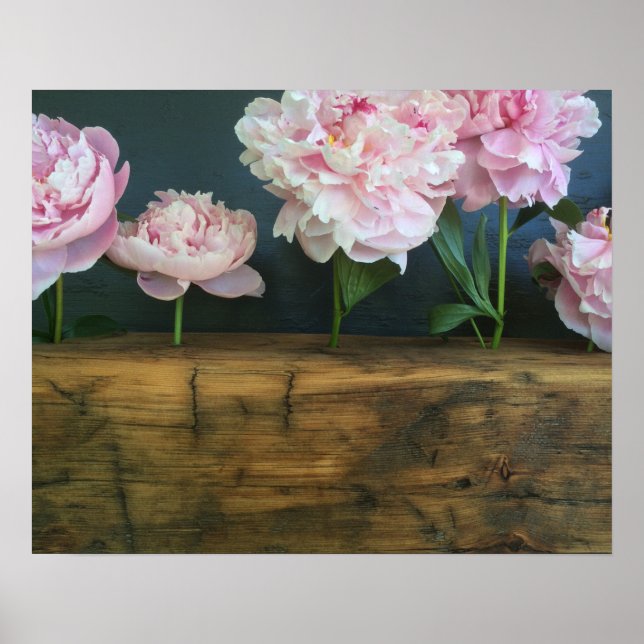 Peony poster (Front)