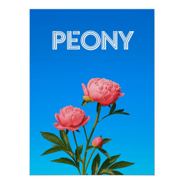 Peony Poster (Front)