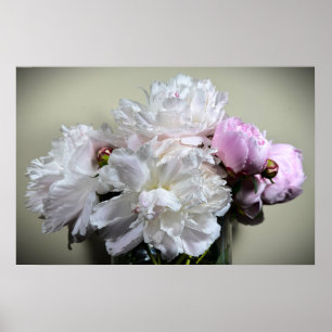 Peony, Poster