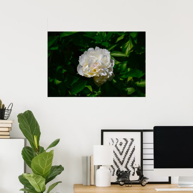 Peony, Poster (Home Office)