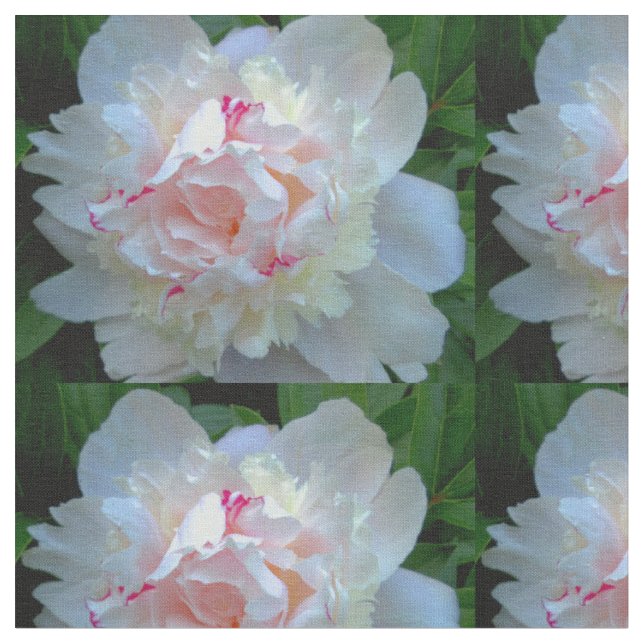 Peony Pretty White Fabric (Close Up)