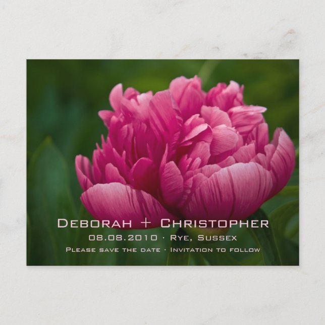Peony • Save the Date Postcard (Front)