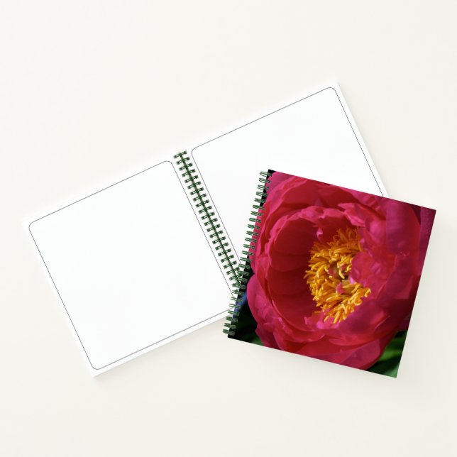 Peony ~ The Flowers Collection Sketchbook Notebook (Inside)