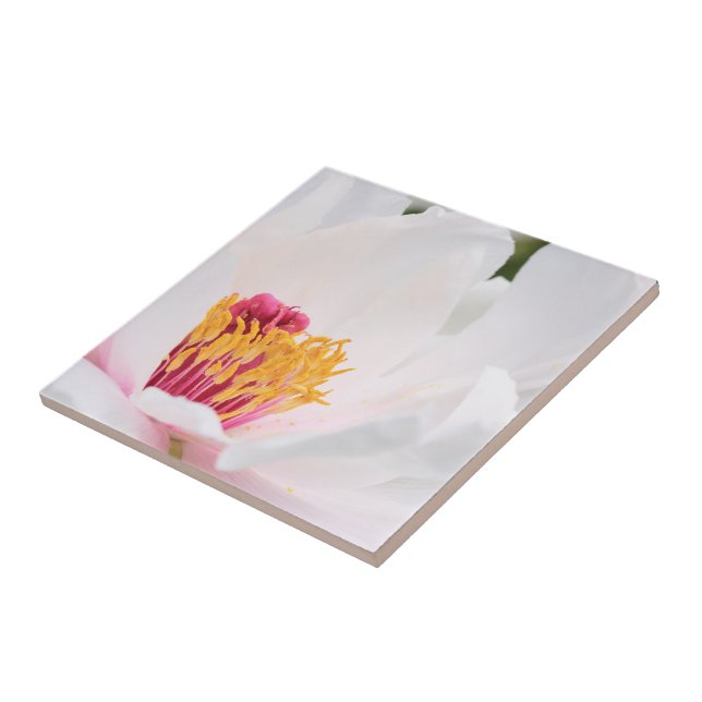 Peony Tile (Side)