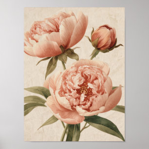 Peony Watercolor Elegance Poster