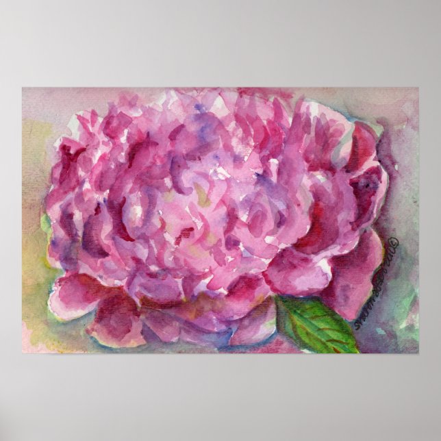 Peony Watercolor Poster (Front)