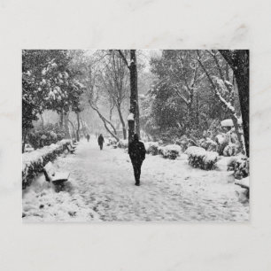 People at park in snowy winter day postcard