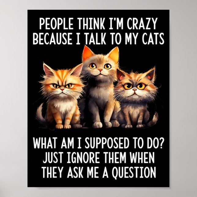 People think i'm crazy because i talk my cats poster (Front)