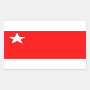 People's Defence Force (Myanmar) Rectangular Sticker