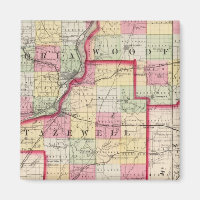 Peoria, Woodford, Tazewell counties