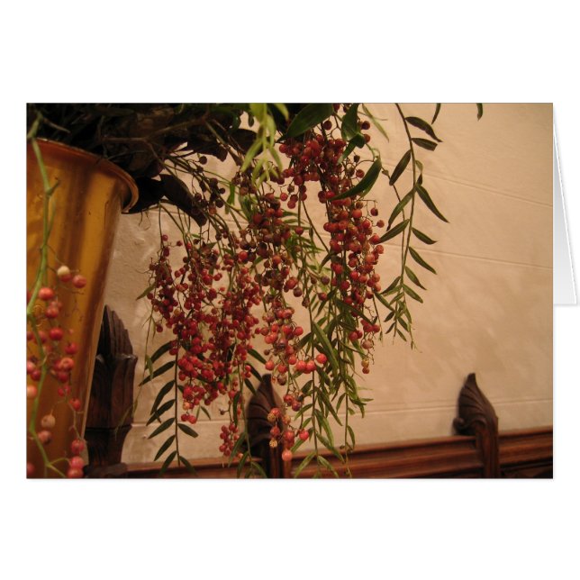 Pepper Berries (Front Horizontal)