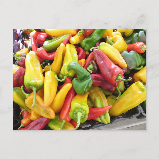 Pepper Collage Postcard (Front)