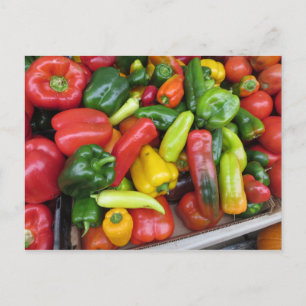 Pepper Collection Postcard