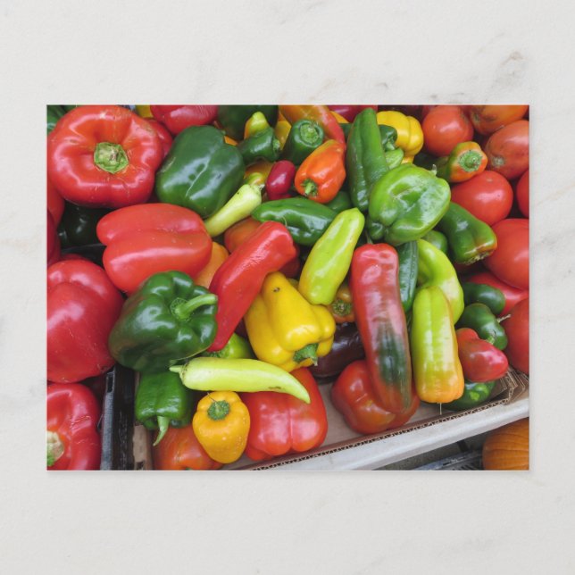 Pepper Collection Postcard (Front)