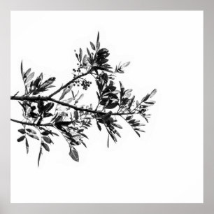 Pepper Tree Flowers Leaves Nature Poster