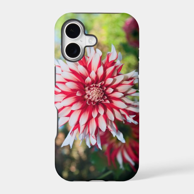 Peppermint Dahlia iPhone 5 Case-Mate Case (Back)