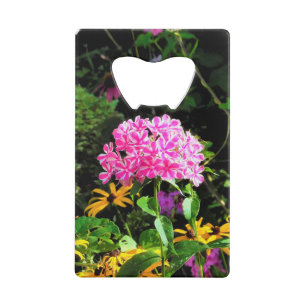 Peppermint Twist Phlox in the Flower Garden