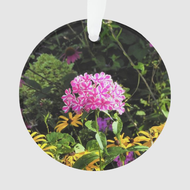 Peppermint Twist Phlox in the Flower Garden Ornament (Front)