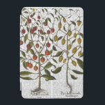 Peppers 1 iPad mini cover<br><div class="desc">Kitchen & Bath</div>