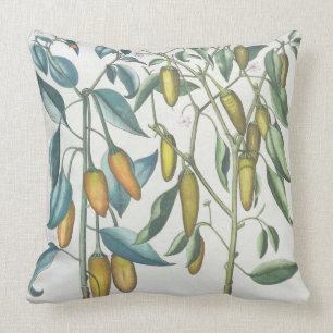 Peppers: 1.Piper Indicum filiquis flavis; 2.Piper Cushion