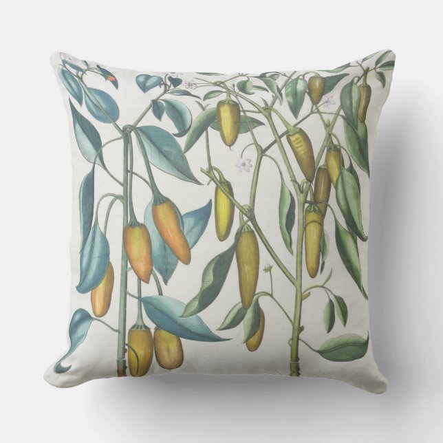 Peppers: 1.Piper Indicum filiquis flavis; 2.Piper Cushion (Front)