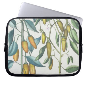 Peppers: 1.Piper Indicum filiquis flavis; 2.Piper Laptop Sleeve