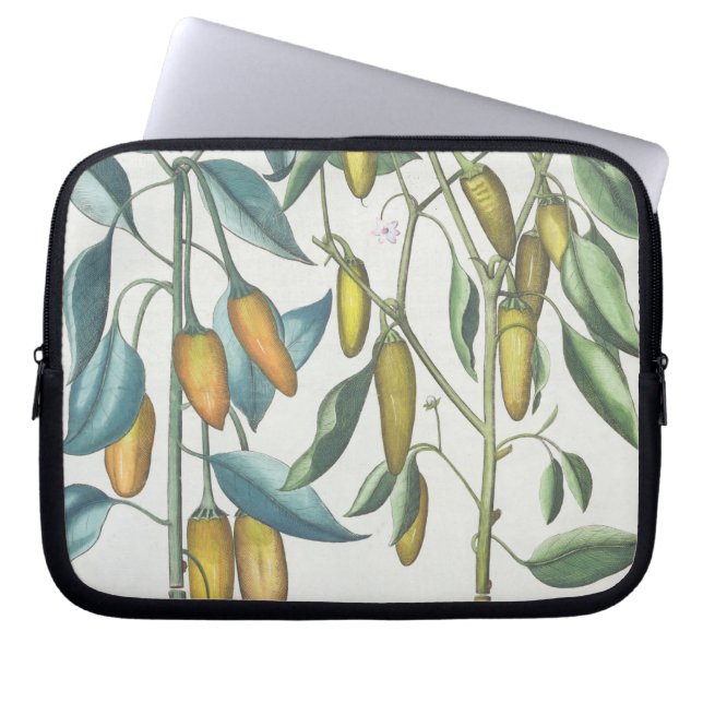 Peppers: 1.Piper Indicum filiquis flavis; 2.Piper Laptop Sleeve (Front)