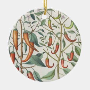 Peppers: 1.Piper Indicum maximum longum; 2.Piper I Ceramic Tree Decoration