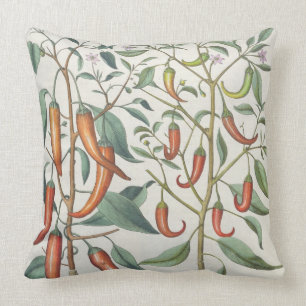 Peppers: 1.Piper Indicum maximum longum; 2.Piper I Cushion